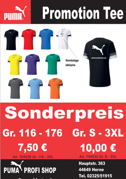 Puma teamRise Promotion Tee